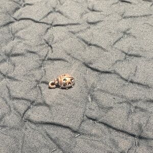 James Avery Silver Ladybug Charm
